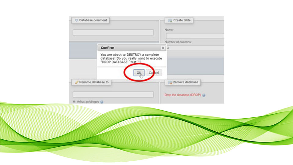 حذف دیتا بیس از phpmyadmin