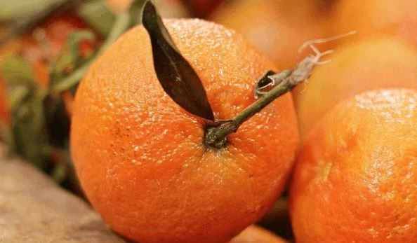 تصویر 6 بهینه سازی تصاویر