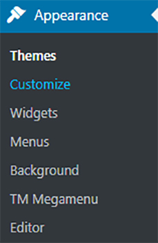 تغییر لوگوی سایت وردپرس Customizer. از قسمت